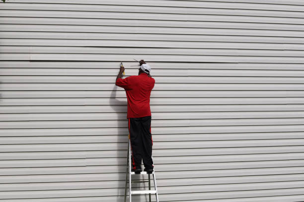 Best Steel Siding Installation  in Centerville, CA