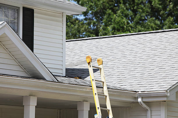 Best Custom Siding Design  in Centerville, CA